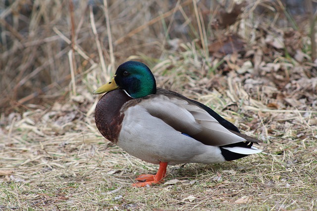 De bedste strategier til at finde de svære ord i krydsord