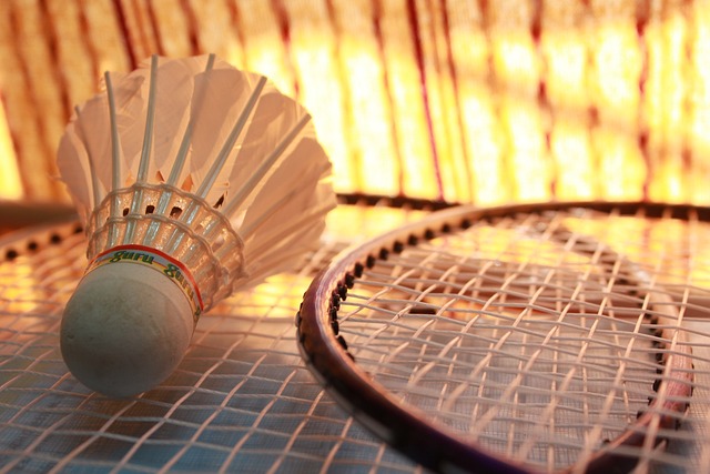 De 4 bedste plusser ved badminton! Hvilken synes du bedst om?